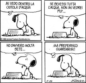 Vignette I Peanuts