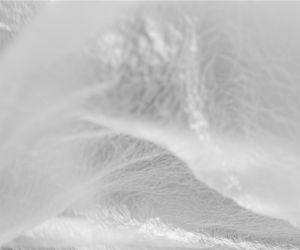 Sabato 7 Maggio - Sei come un velo che mi custodisce